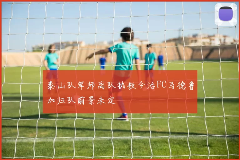 泰山队军师离队执教今治FC马德鲁加归队前景未定