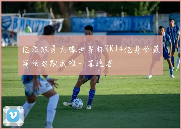 亿元球员无缘世界杯KK14亿身价最高帕尔默成唯一落选者