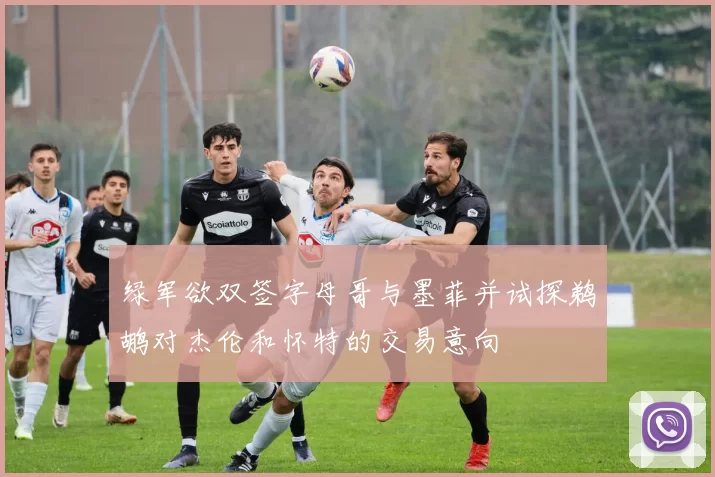 绿军欲双签字母哥与墨菲并试探鹈鹕对杰伦和怀特的交易意向